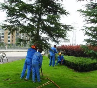 稅改后時代,園林綠化工程利潤達到多少才不虧本!