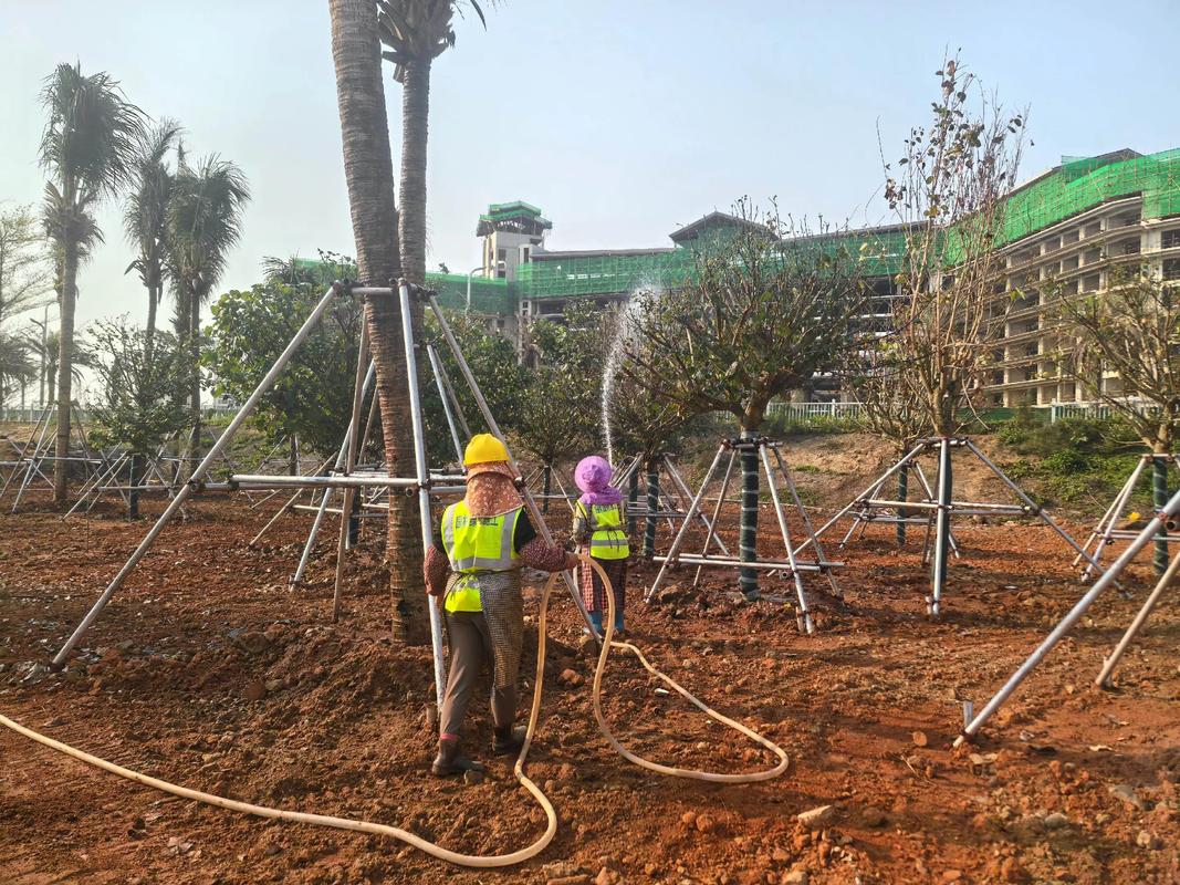 努力不一定有結果,但不努力一定沒有結果.專業(yè)園林景觀綠化施工