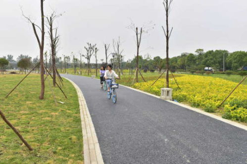 綿陽再添綠色新名片 大型公園試開園，園林綠化工程圓滿竣工