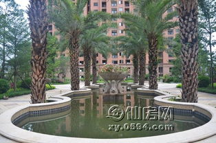 金石華府二期園林綠化施工進(jìn)展及3號樓新品預(yù)告