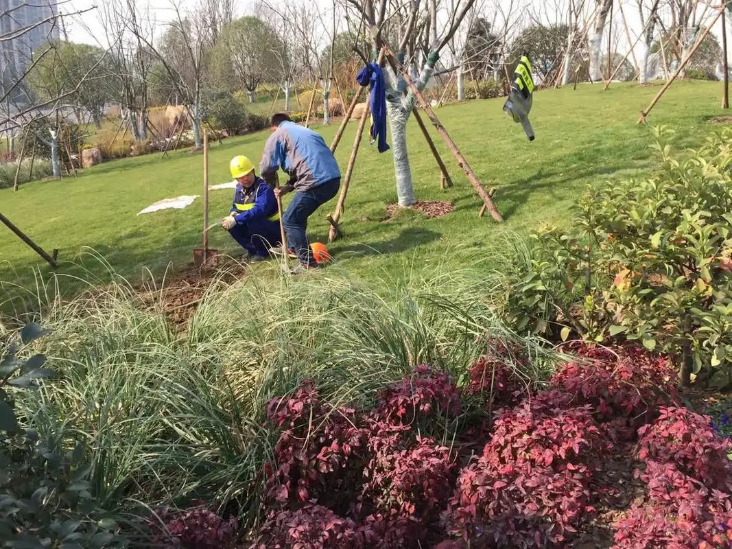 邊坡綠化工程 專(zhuān)業(yè)施工，筑造綠色家園的生態(tài)屏障